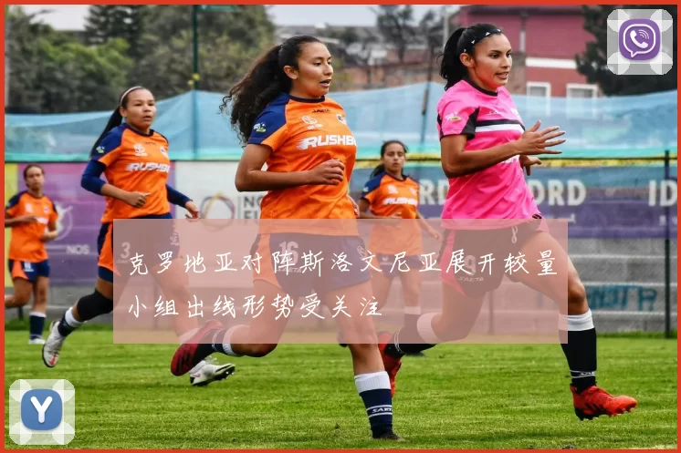 克罗地亚对阵斯洛文尼亚展开较量小组出线形势受关注