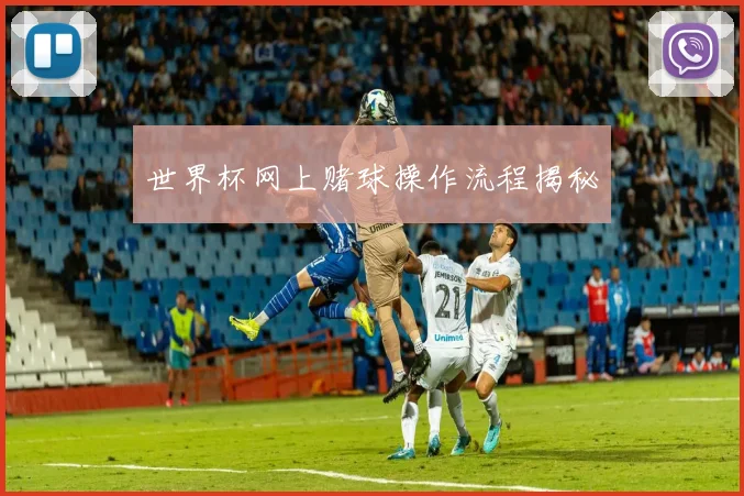世界杯网上赌球操作流程揭秘
