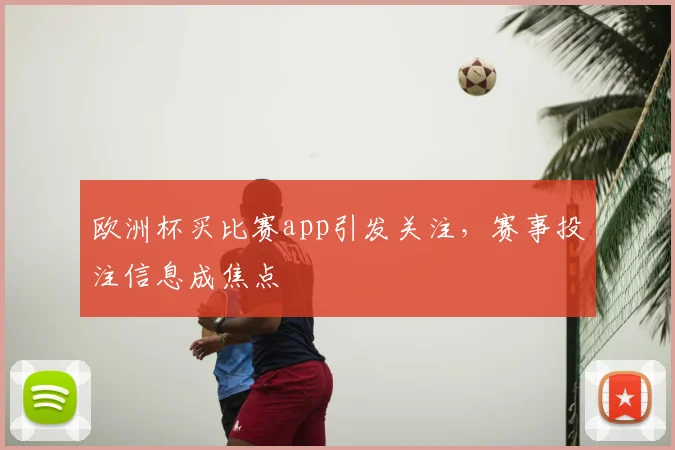 欧洲杯买比赛app引发关注，赛事投注信息成焦点